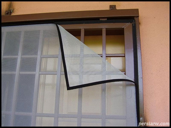 سمپاشی پشه در تهران