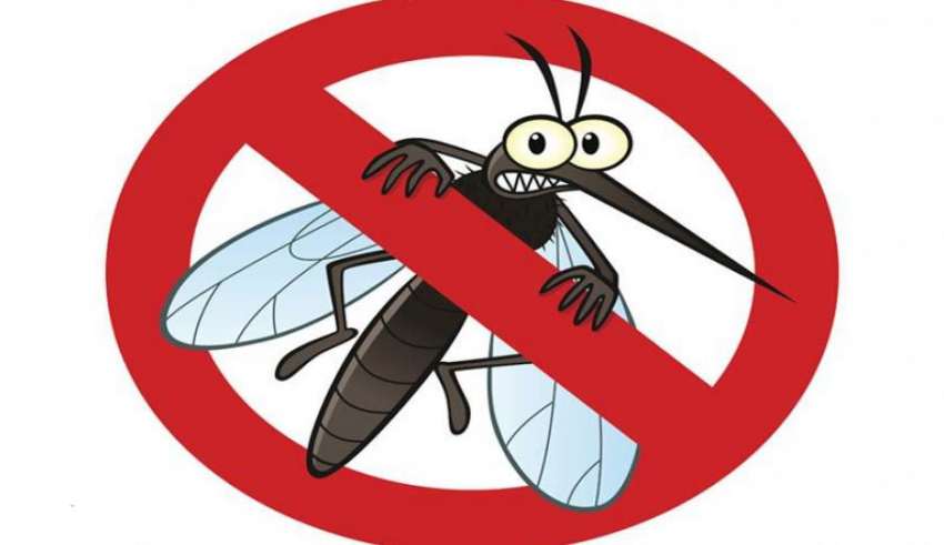 سمپاشی پشه در تهران